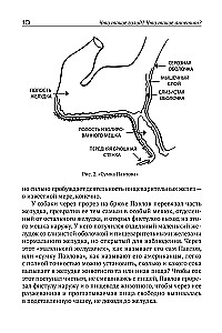 Suvorin's Method. Treatment by Fasting. Book II. The Practice of Fasting