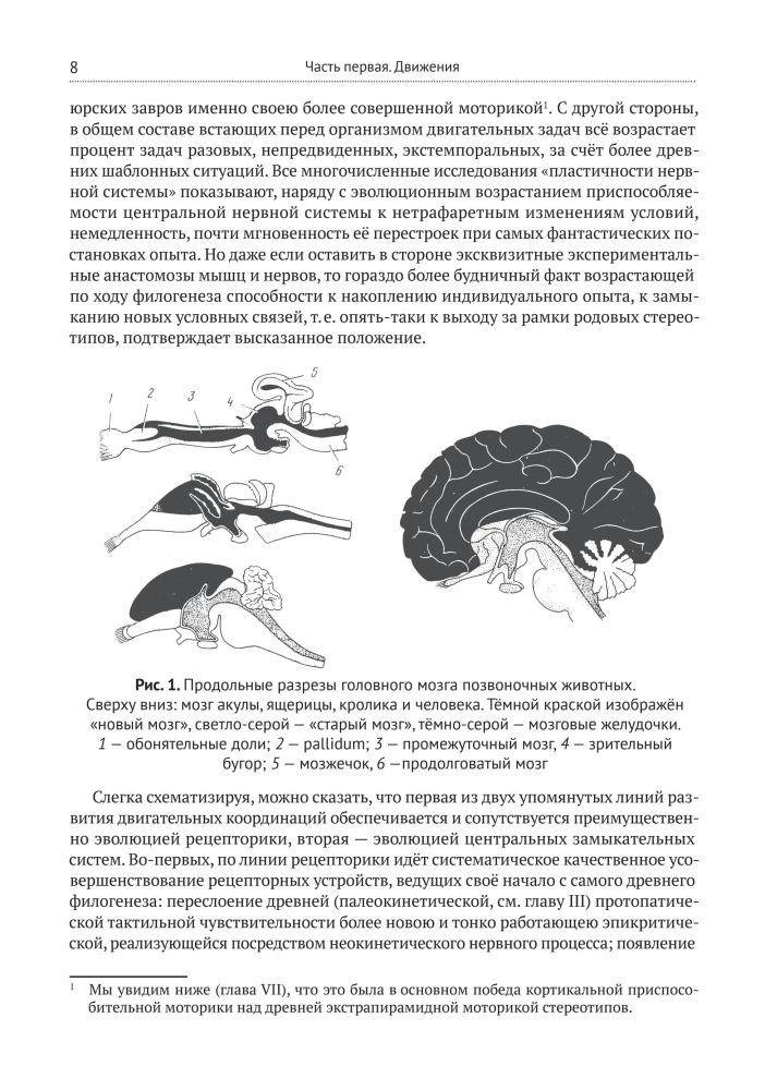 O budowaniu ruchów