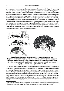O budowaniu ruchów