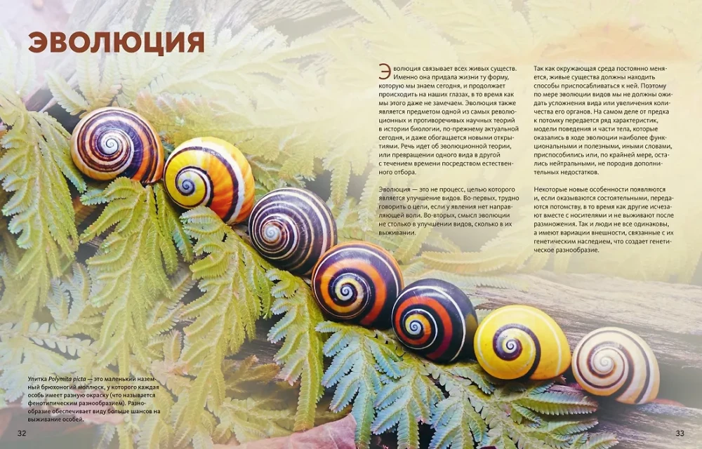 Ogromna encyklopedia zwierząt świata