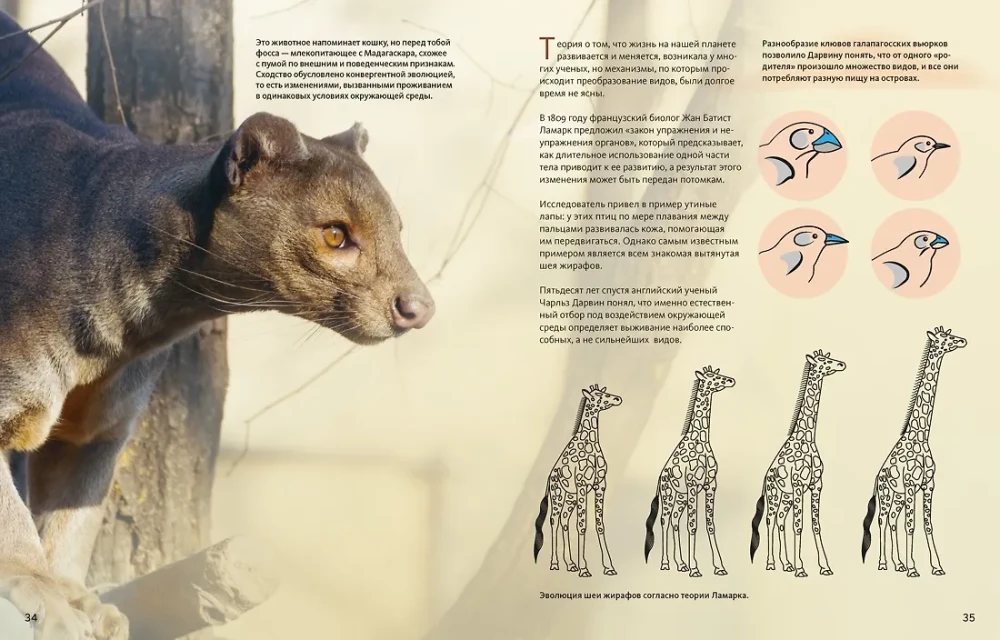 Ogromna encyklopedia zwierząt świata