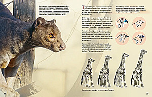 Ogromna encyklopedia zwierząt świata