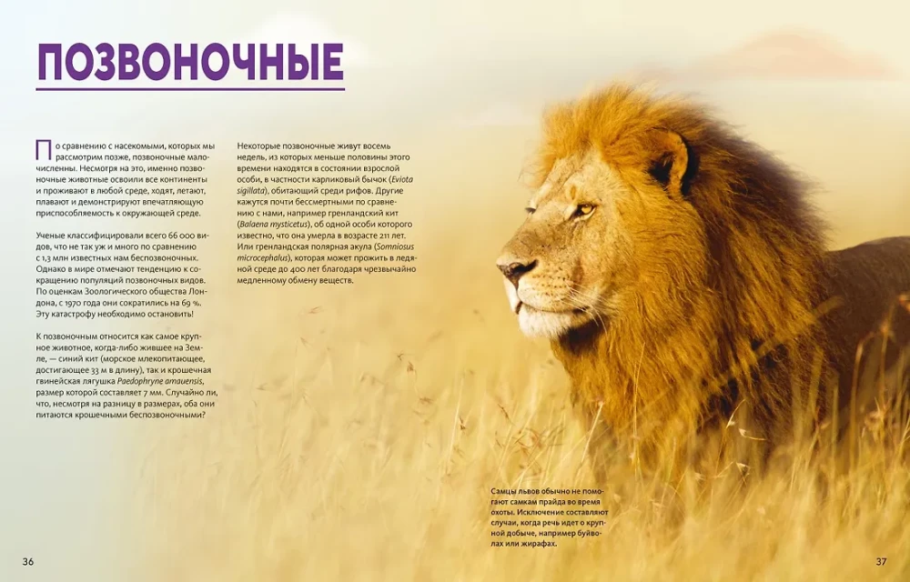 Ogromna encyklopedia zwierząt świata