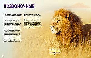 Ogromna encyklopedia zwierząt świata