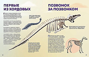 Ogromna encyklopedia zwierząt świata