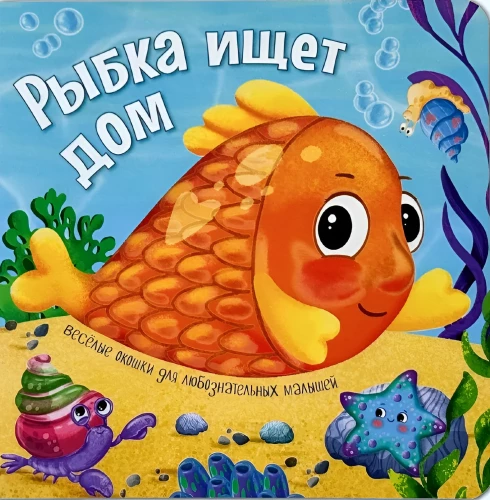 Kalake otsib kodu