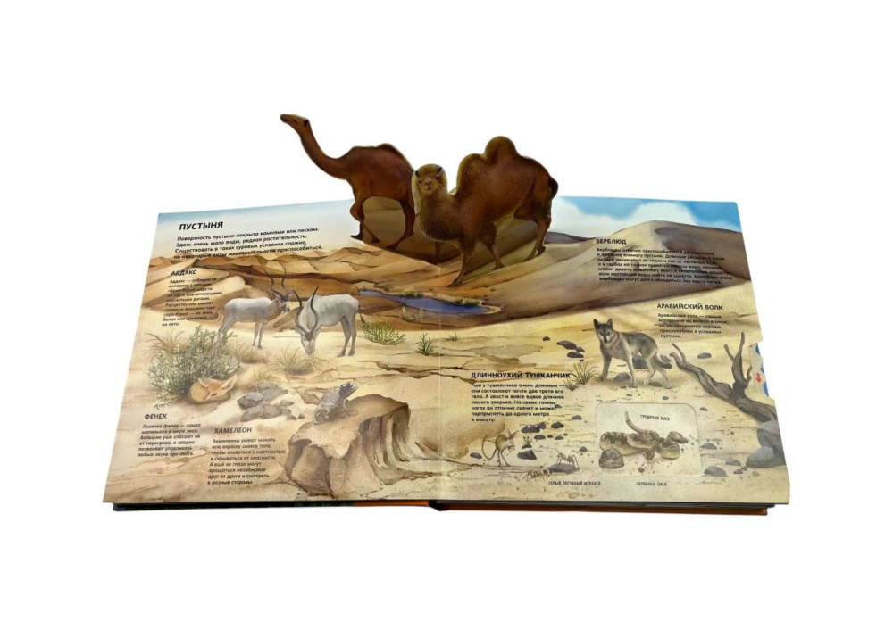 Tiere. Große anschauliche 3D-Enzyklopädie
