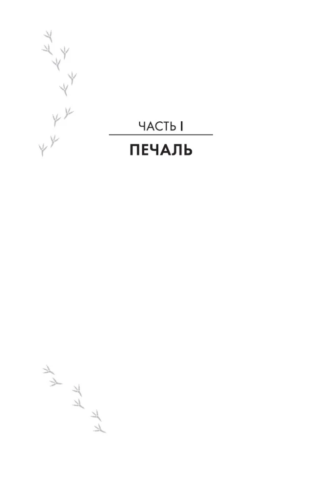Сороки-убийцы