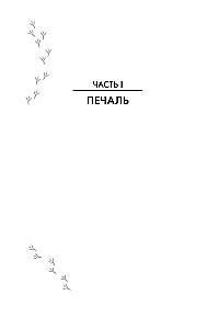 Сороки-убийцы