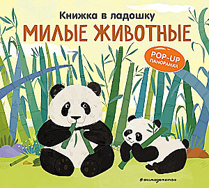 Mini Books. The Best Gift for a Little Girl