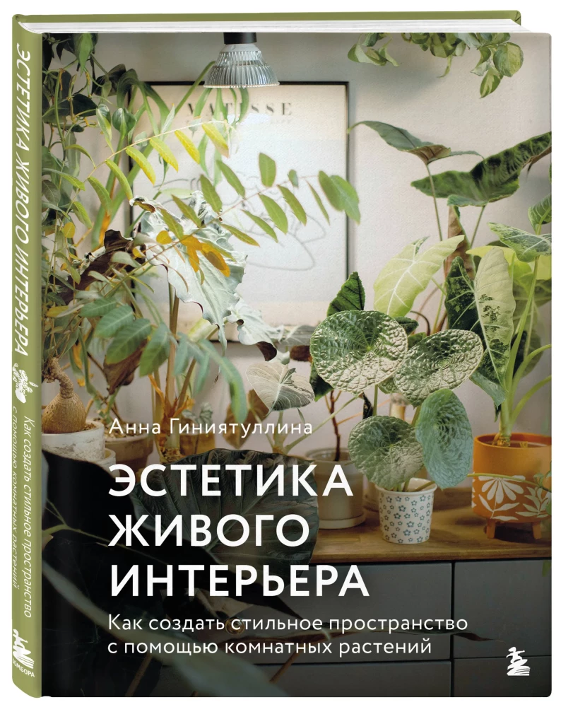 The Aesthetics of Living Interiors. How to Create a Stylish Space with Houseplants