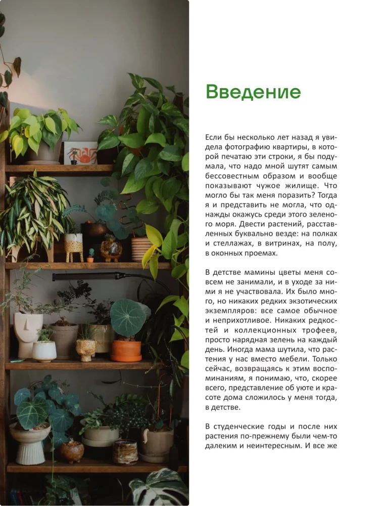 The Aesthetics of Living Interiors. How to Create a Stylish Space with Houseplants