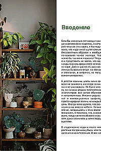 The Aesthetics of Living Interiors. How to Create a Stylish Space with Houseplants