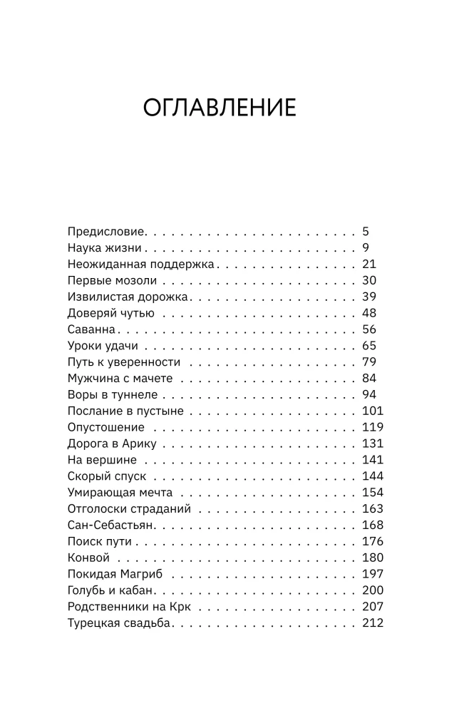 Большая кругосветная медитация. Шаг за шагом: 7 лет, 6 континентов, 45 000 километров