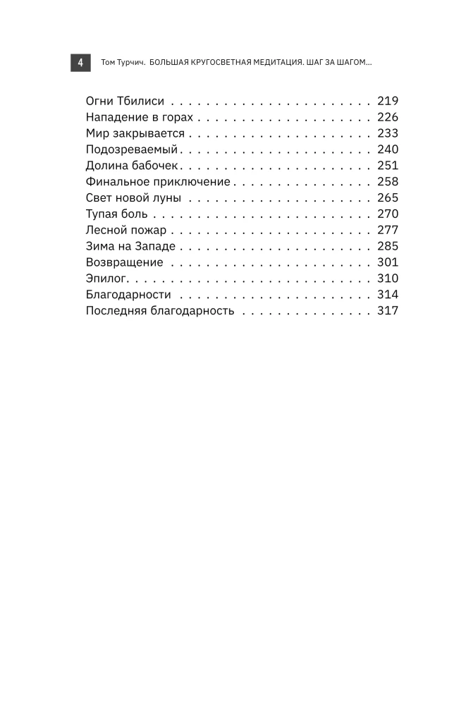 Большая кругосветная медитация. Шаг за шагом: 7 лет, 6 континентов, 45 000 километров