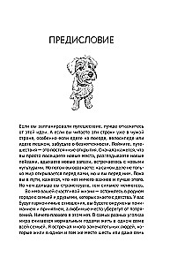 Большая кругосветная медитация. Шаг за шагом: 7 лет, 6 континентов, 45 000 километров