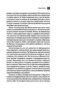 Большая кругосветная медитация. Шаг за шагом: 7 лет, 6 континентов, 45 000 километров