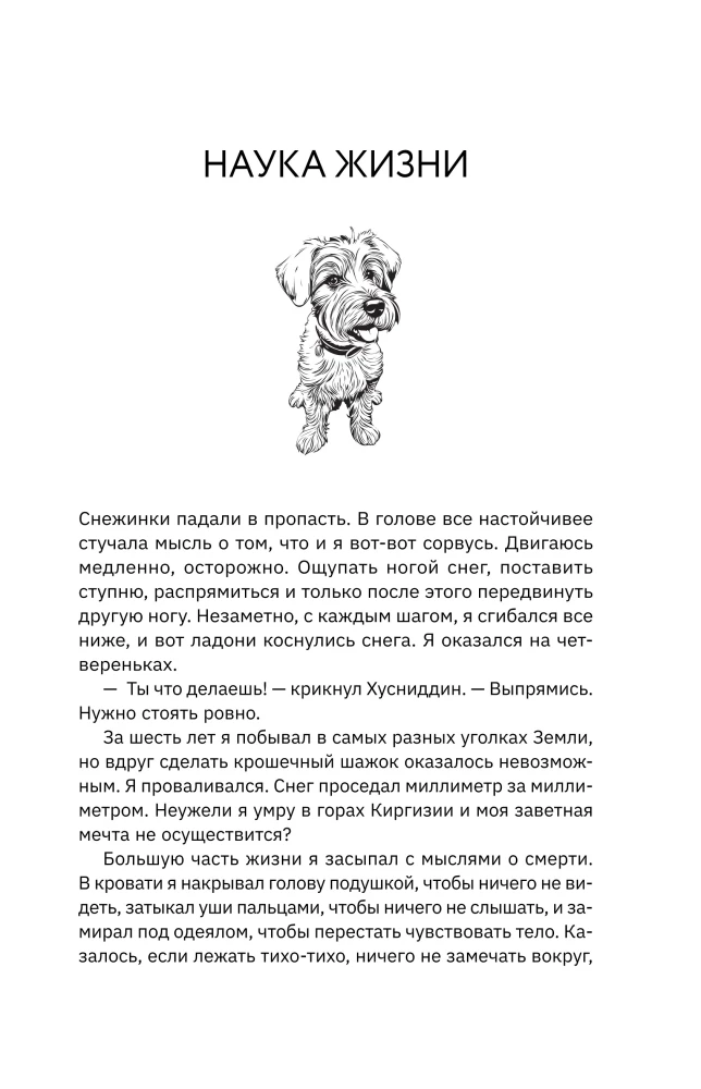 Большая кругосветная медитация. Шаг за шагом: 7 лет, 6 континентов, 45 000 километров