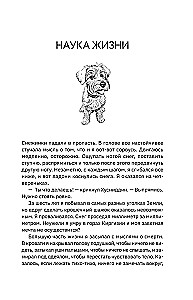 Большая кругосветная медитация. Шаг за шагом: 7 лет, 6 континентов, 45 000 километров