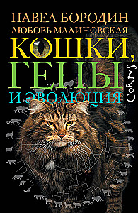 Cats, Genes, and Evolution