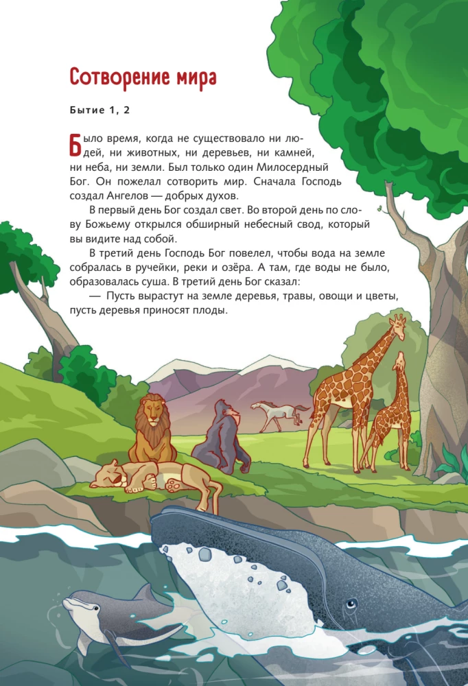 Illustrierte Bibel für junge Leser