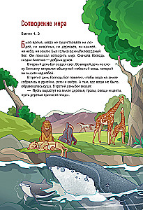 Illustrierte Bibel für junge Leser