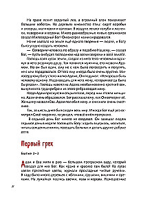 Illustrierte Bibel für junge Leser