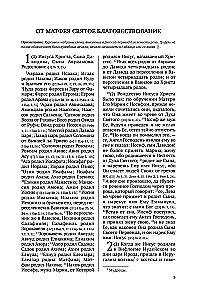 Die Bibel. Neues Testament
