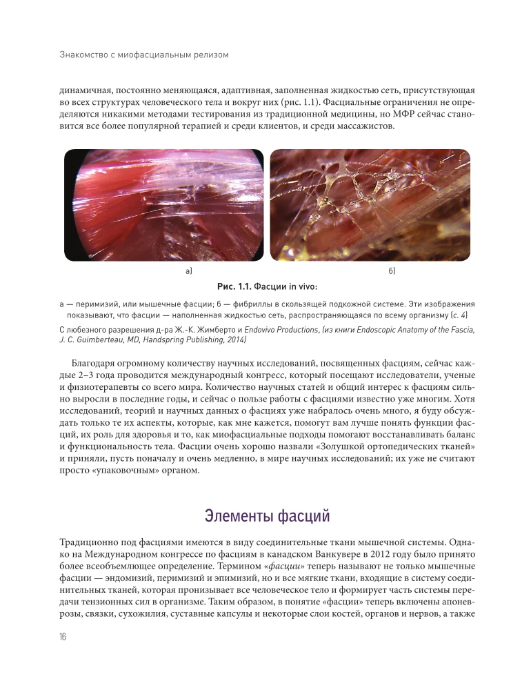 Miofascialny relaks. Leczenie dysfunkcji powięzi, mobilizacja tkanek miękkich, praca z bliznami i zrostami