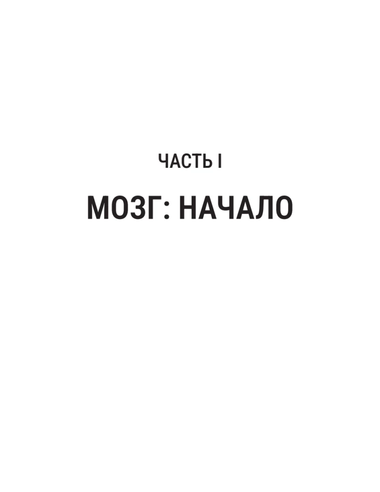 Мозг и его Я. Кто мы? Откуда мы? Куда мы идем?