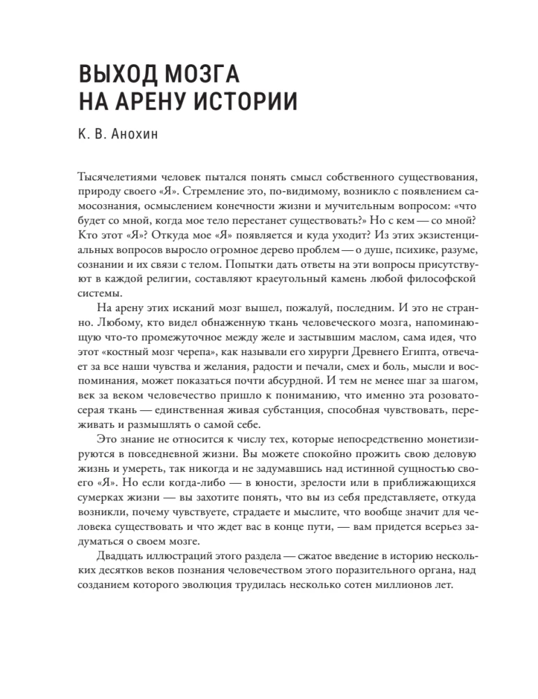 Мозг и его Я. Кто мы? Откуда мы? Куда мы идем?