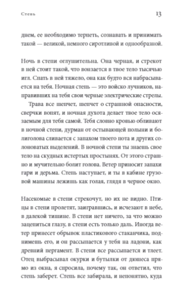 Stepė: Romanas