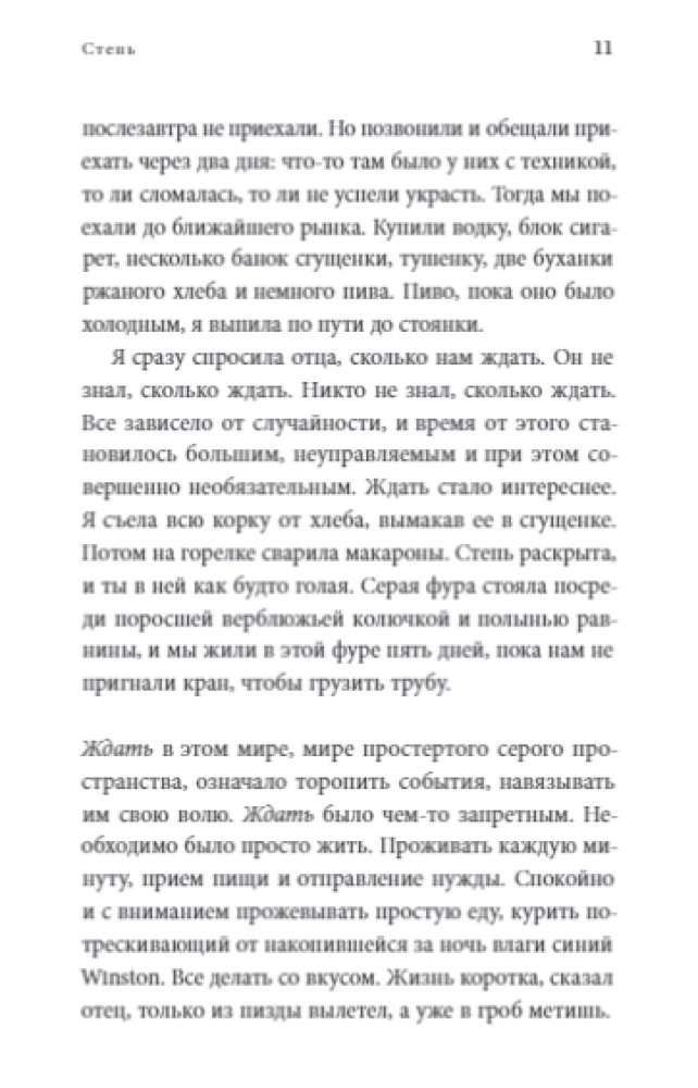 Stepė: Romanas