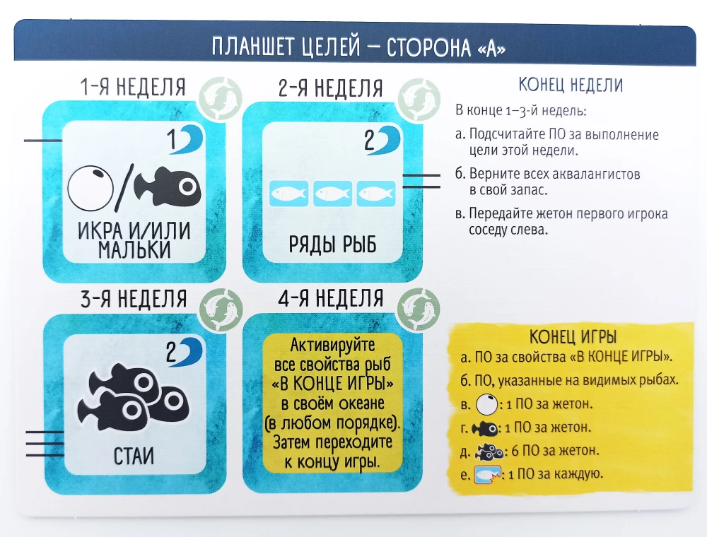 Gra planszowa - Płetwy