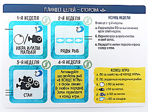 Gra planszowa - Płetwy