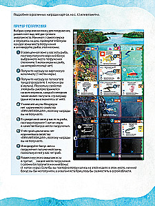 Gra planszowa - Płetwy