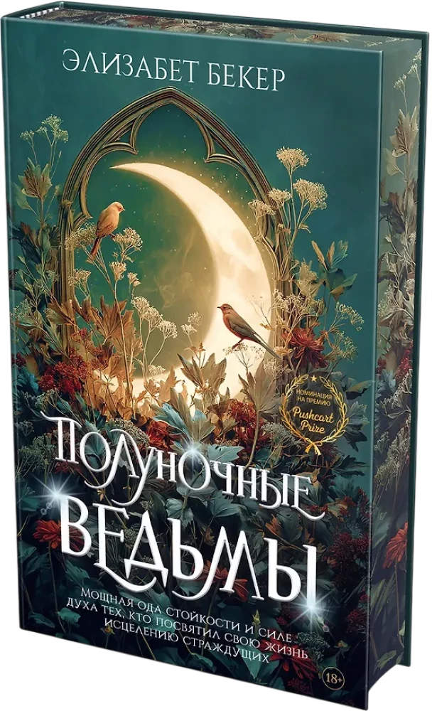 Полуночные ведьмы