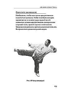 Tai Chi: Warm-up of the Zhong He System. Silk Thread Winding, 18 Forms of Chen Style