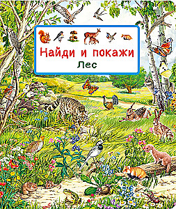Find and Show. The Forest
