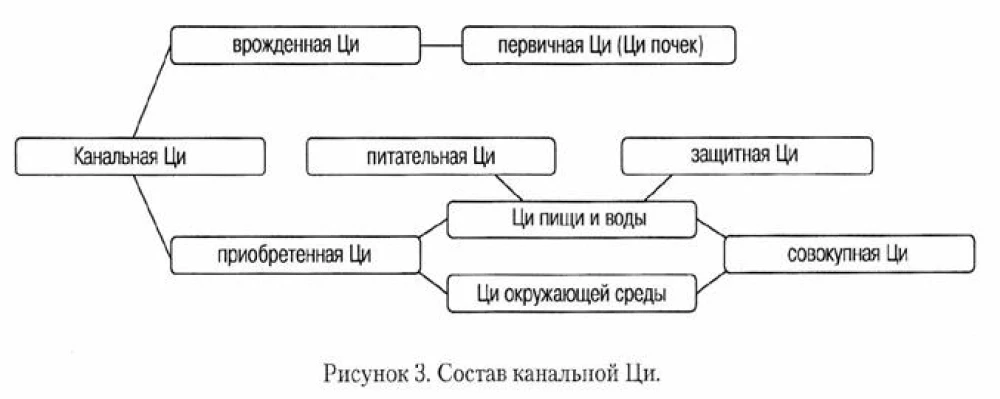 Система каналов и коллатералей китайской медицины