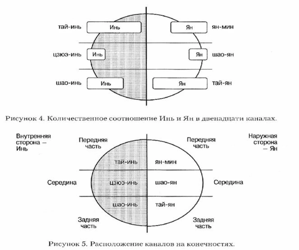 Система каналов и коллатералей китайской медицины