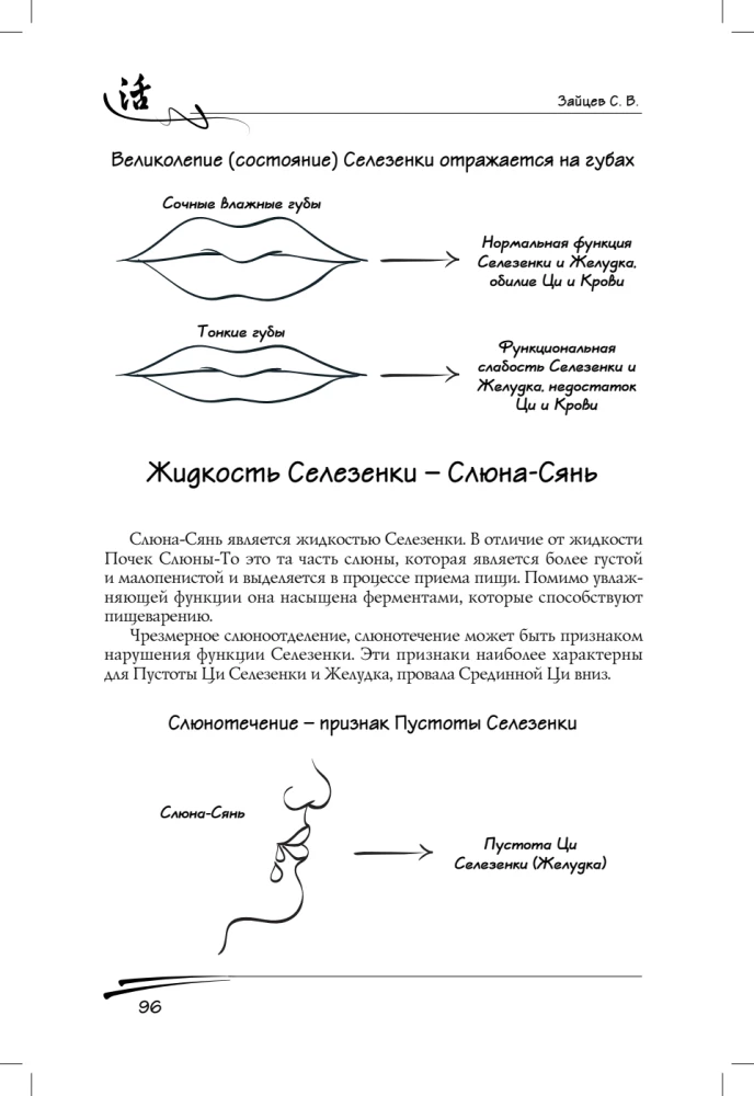 Spleen in Traditional Chinese Medicine