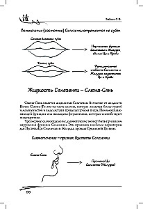 Spleen in Traditional Chinese Medicine