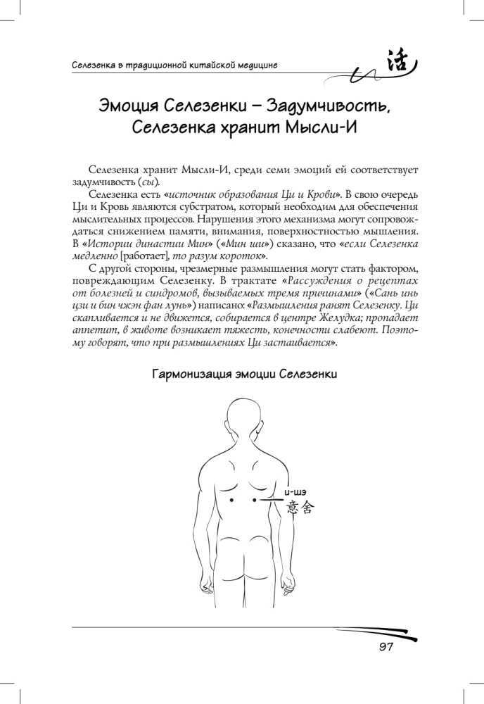 Spleen in Traditional Chinese Medicine