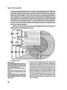 Hierarchy of Heaven and Earth. Volume III