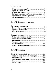 Yoga des Schlafes. Traumdeutung in der tibetischen Medizin. Buch 2: Reise über Raum und Zeit hinaus