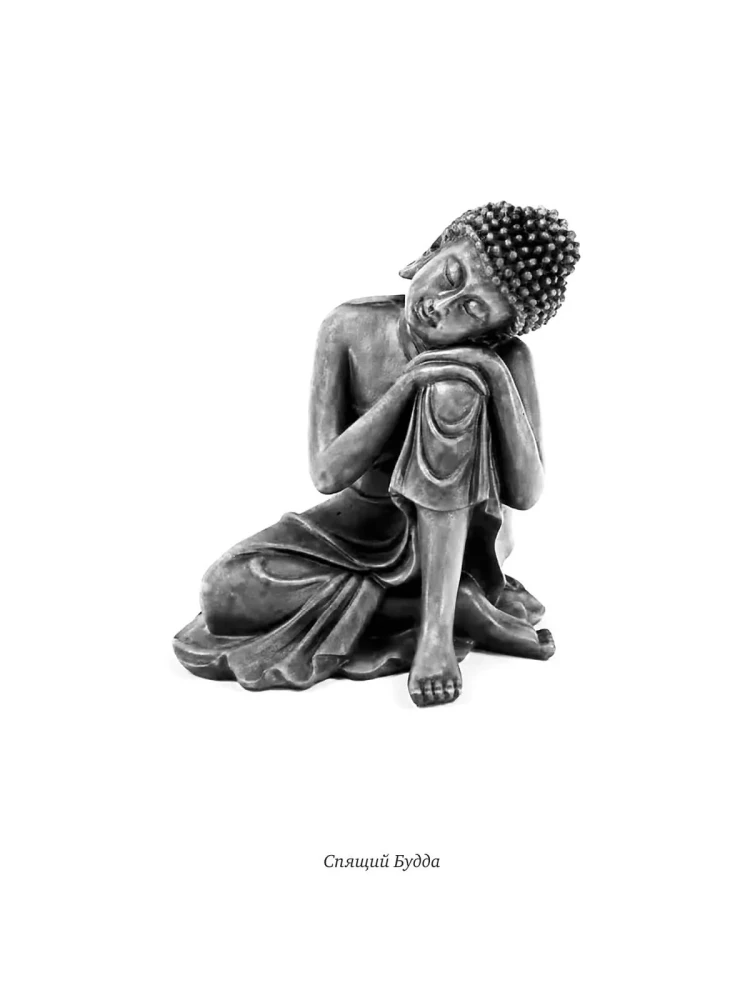 Yoga des Schlafes. Traumdeutung in der tibetischen Medizin. Buch 2: Reise über Raum und Zeit hinaus
