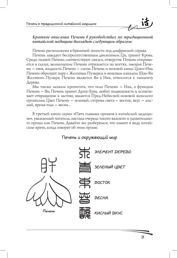 Liver in Traditional Chinese Medicine
