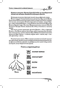 Liver in Traditional Chinese Medicine