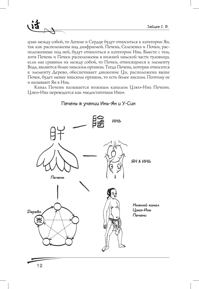 Liver in Traditional Chinese Medicine